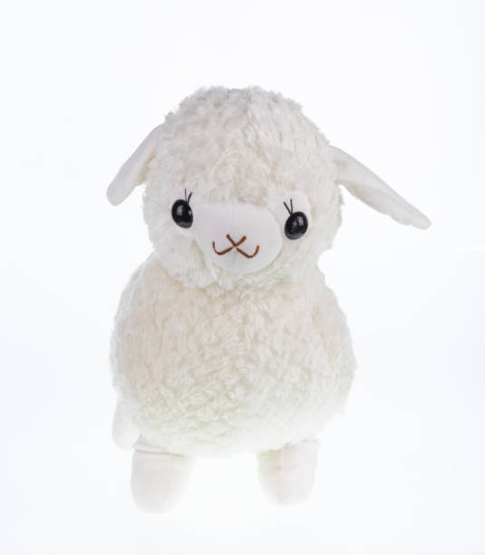 istock TOY SOFT Llama isolated on white background 1412935967