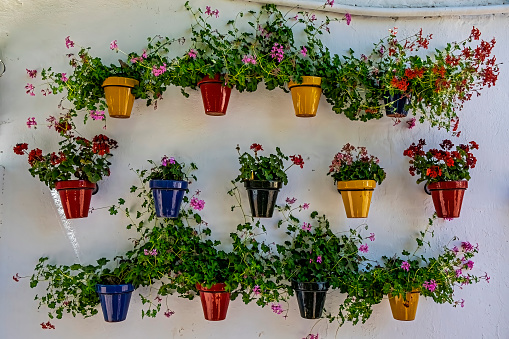 Geraniums in brightly coloured hanging pots bring joy to the streets of Andalusia.