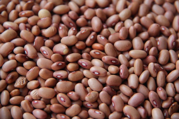 istock Full frame of Pink beans. 1412941805