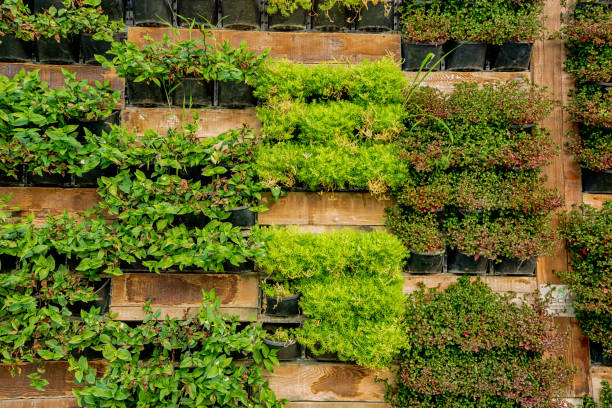 istock Decorative vertical garden with plants as urban design and development 1412941850