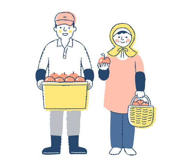 illustrazioni stock, clip art, cartoni animati e icone di tendenza di uomo e donna di un coltivatore di mele - business mature adult employment issues women