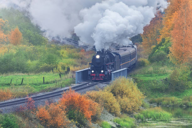istock Retro steam train at autumn cloudy morning. 1412945682