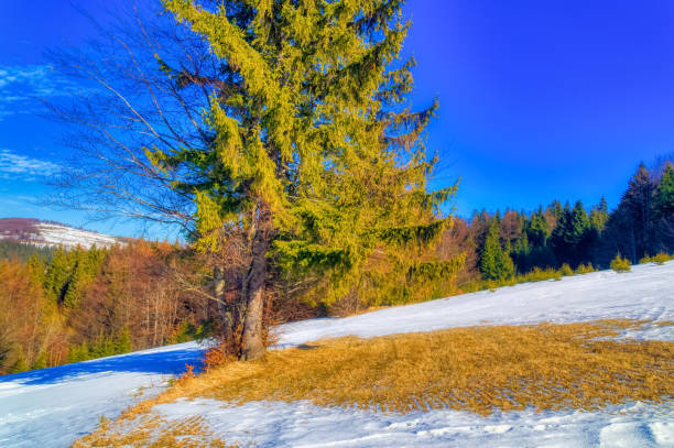 istock View over landscape covered with snow. 1412947301