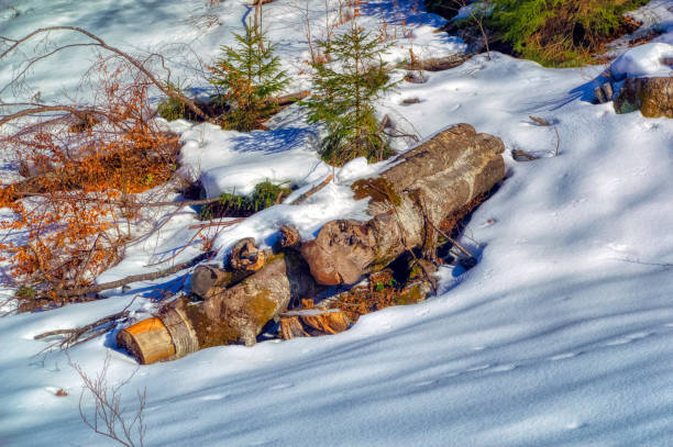 View over landscape covered with snow during sunny winter day.