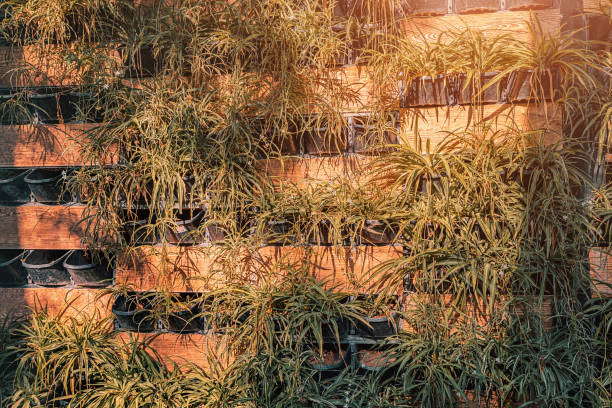 istock Decorative vertical garden with plants as urban design and development 1412952956