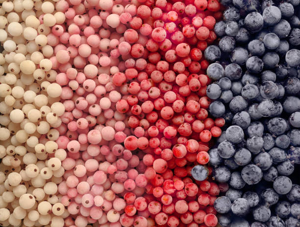 Frozen currants background. Top view currant varieties