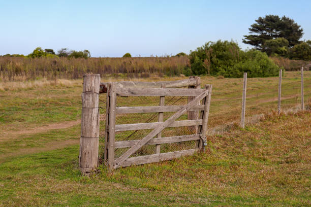 istock old wooden gate in field 1412958784