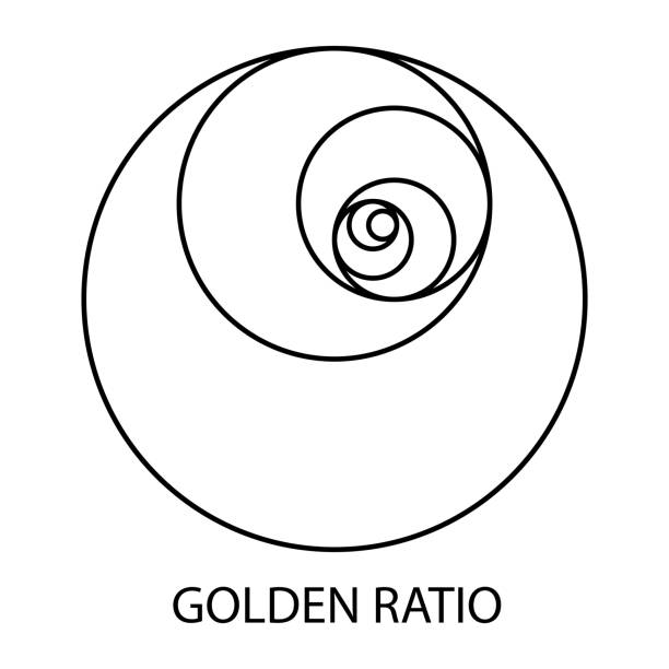 피보나치 서열의 원. 황금 섹션. 나선형 기하학적 모양. - black gold abstract spiral stock illustrations
