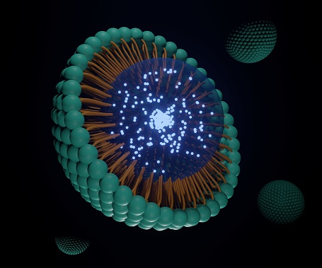 Nanopartícula lipídica sólida con portador de nanofármacos photo