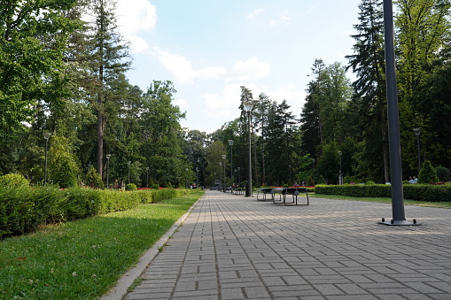 Vrnjacka Banja, Serbia - 08. 03. 2022: public park in town in summer