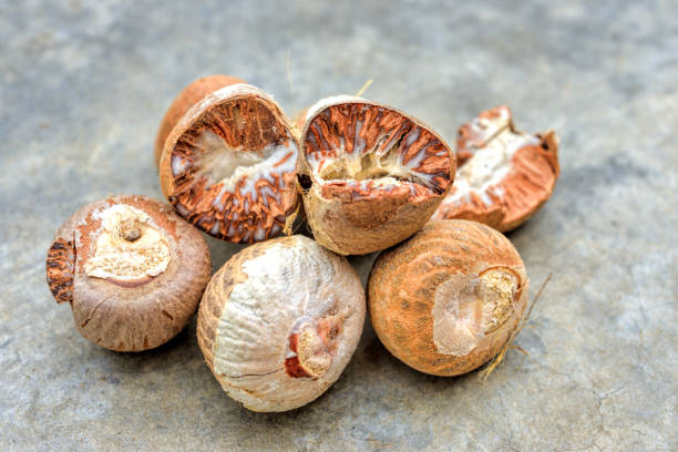 Betel Nut or Areca Nut background stock photo