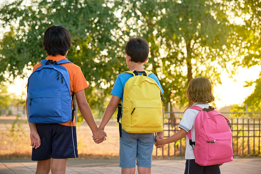 three brothers walking back to back holding hands with blue yellow and pink backpacks ready to start back to school with the sun behind the trees in the background