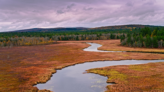 Aerial shot of a creek and wetland surrounded by forest in Western Maine on an overcast day in Fall.