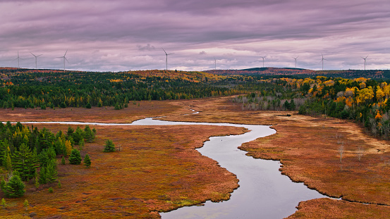 Aerial shot of a swamp surrounded by forest, with wind turbines on the horizon, in Western Maine on an overcast day in Fall.