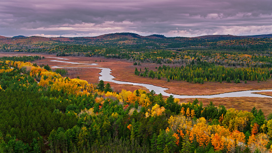 Aerial shot of a creek and wetland surrounded by forest in Western Maine on an overcast day in Fall.