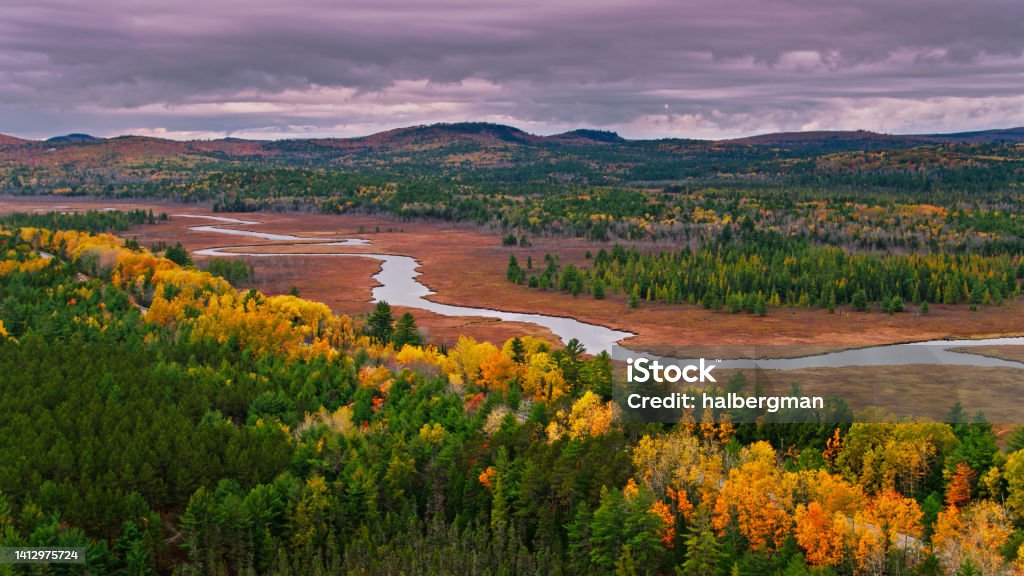 Aerial View of Nature Near Aurora, Maine in Fall Aerial shot of a creek and wetland surrounded by forest in Western Maine on an overcast day in Fall. Maine Stock Photo