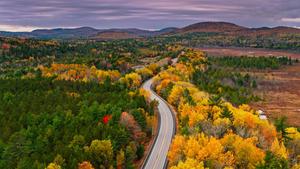 vue aérienne d’une route à travers la forêt dans l’ouest du maine en automne - maine photos et images de collection
