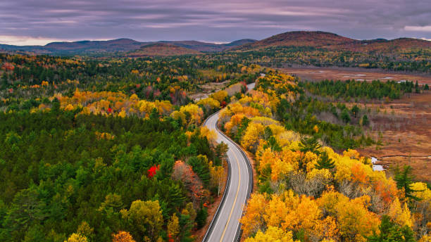 aerial view of road through forest in western maine in autumn - maine imagens e fotografias de stock