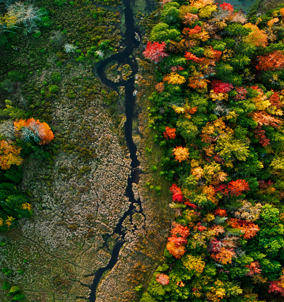Aerial shot of Haines Falls, New York and surrounding woodlands in autumn at sunset. Haines Falls is a small town in the Catskill Mountains.