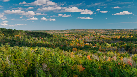 Aerial shot of forest near Sullivan, Maine in autumn on a partly cloudy day.