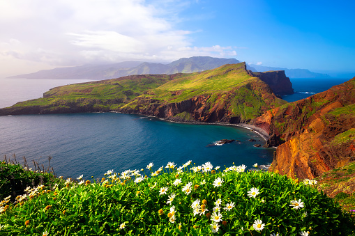 Ponta de Sao Lourenco peninsula with beautiful flowers in the foreground in the Madeira Islands, Portugal.