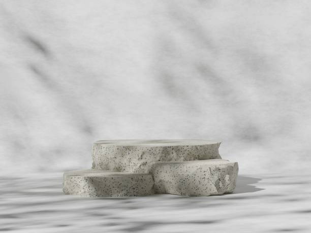 istock Premium podium on pastel Background for product display, Abstract geometric composition with branch and shadow on the wall, 3D render. Mock up for exhibitions. Promotion. 1412992852