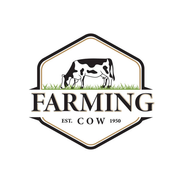 illustrations, cliparts, dessins animés et icônes de ferme familiale de vache vintage hexagone emblème design, région ouest - ranch