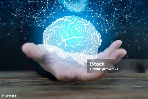 Abstract Palm Hands Holding Brain With Network Connections Innovative Technology Stock Photo - Download Image Now