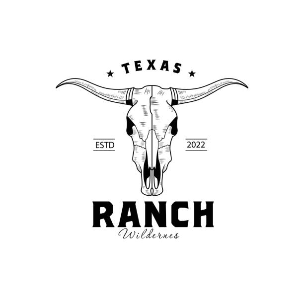 illustrazioni stock, clip art, cartoni animati e icone di tendenza di vintage cow bull texas longhorn emblema retro design country western bull cattle - texas longhorn cattle horned cattle farm