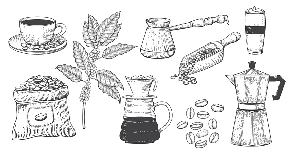 Vintage engraved coffee set. Line art hand drawn engraving style elements, sketch beans and seeds, antique detailed sack, espresso cup, italian grinder, leaf and mug. Vector illustration silhouette