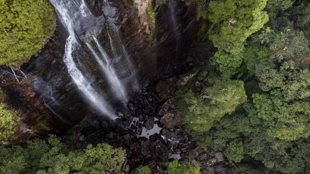 dramatische drohnenaufnahme der spitze des wasserfalls, die in die schlucht darunter verschüttet wird - tropical rainforest waterfall rainforest australia stock-fotos und bilder