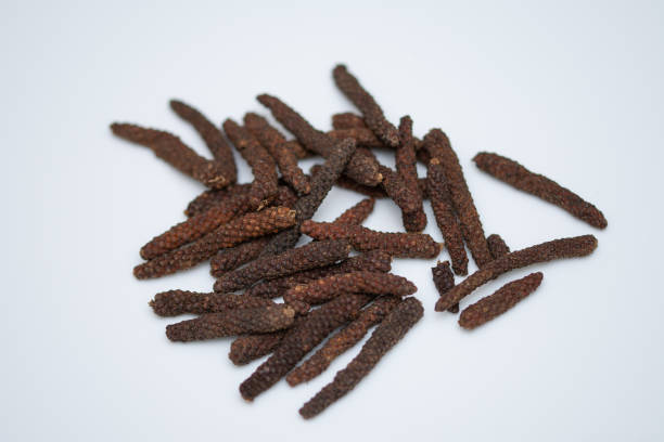 Long pepper or Piper longum isolated on white background Long pepper or Piper longum isolated on white background capsicum annuum longum stock pictures, royalty-free photos & images