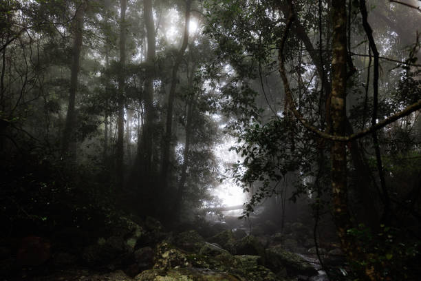 istock Beautiful waterfall hidden in secluded Australian rain forest 1413003483