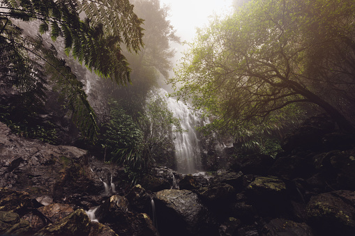 Sun illuminating a beautiful waterfall hidden in secluded Australian rain forest