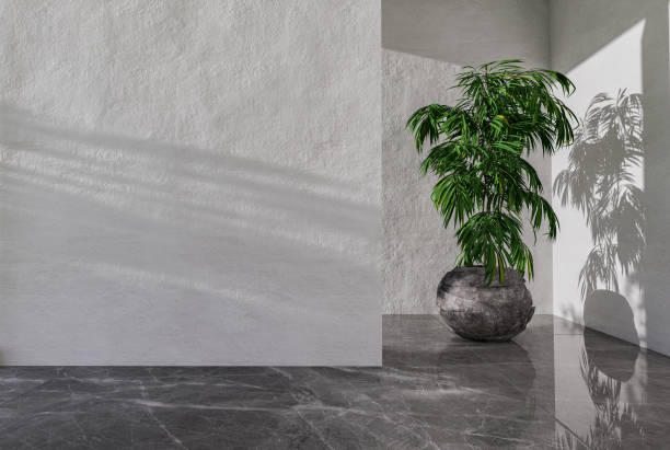 istock Plant in a pot on a lightly textured background. 3D rendering. 1413006918