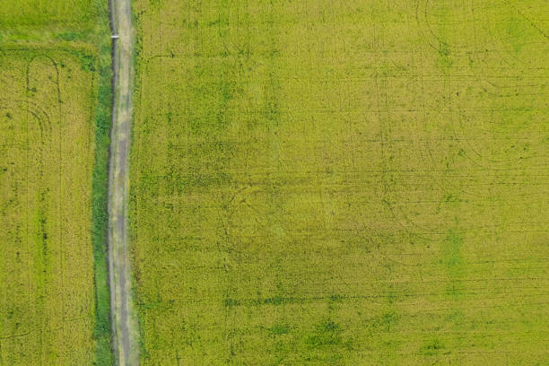 istock field background, top view landscape, nature 1413008046
