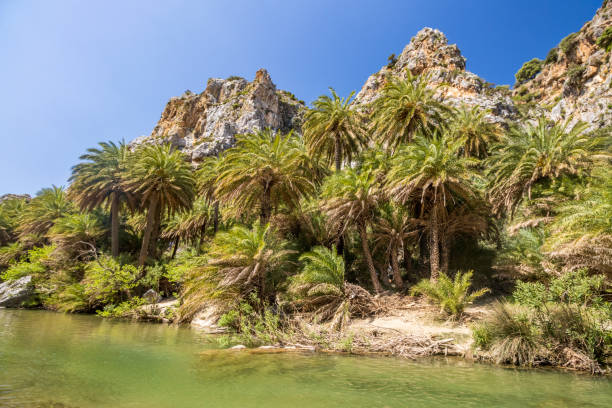 istock Preveli Beach at Agios Vasilios Municipality in Crete, Greece 1413009910