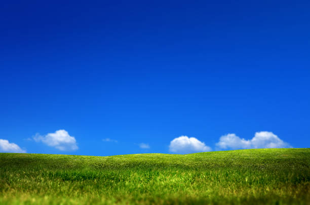istock Freshness of empty green grass landscape over sunny blue sky 1413009920