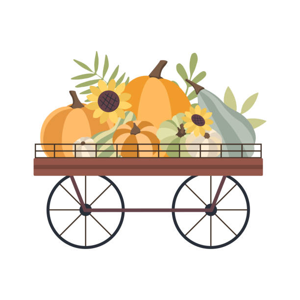 Autumn concept for Harvest festival or Thanksgiving Day. Cart with pumkins, sunflowers and leaves. Background for posters, web, banners, flyers, postcards Autumn concept for Harvest festival or Thanksgiving Day. Cart with pumkins, sunflowers and leaves. Background for posters, web, banners, flyers, postcards sunflower star stock illustrations