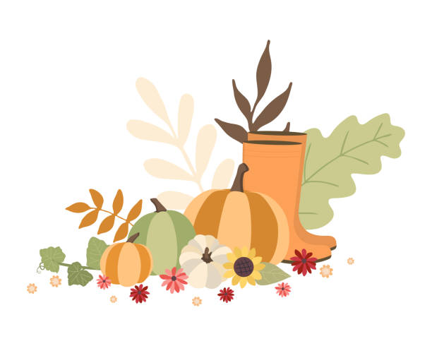 Autumn concept for Harvest festival or Thanksgiving Day. Pumkins with sunflowers and leaves. Background for posterw, web, banners, flyers, postcards Autumn concept for Harvest festival or Thanksgiving Day. Pumkins with sunflowers and leaves. Background for posterw, web, banners, flyers, postcards sunflower star stock illustrations