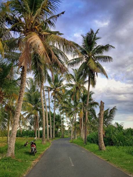 istock Road of Gianyar, Kemenuh 1413015663
