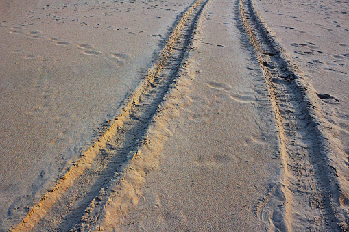 Vehicle trail at sand . Car tyre trail . Beach off road track