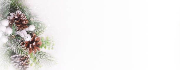 istock Christmas New Year background with christmas tree, pinecone, berries and snow on a white background. Copy space for your text. Banner. Flat lay. 1413016744