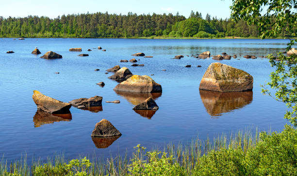 istock Rocks in a shallow water 1413017766