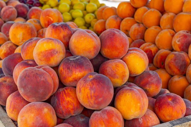 istock Fresh bright peaches and apricots in summer 1413022470