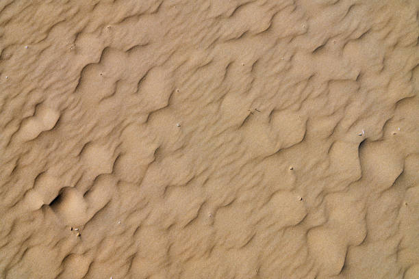istock texture of a sand beach in the netherlands 1413023468