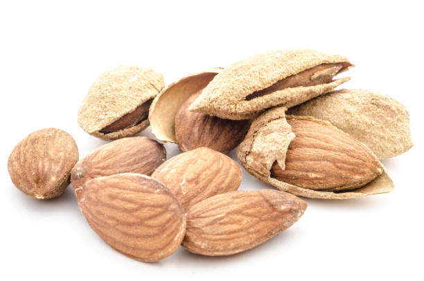 Almonds and almond shells stock photo