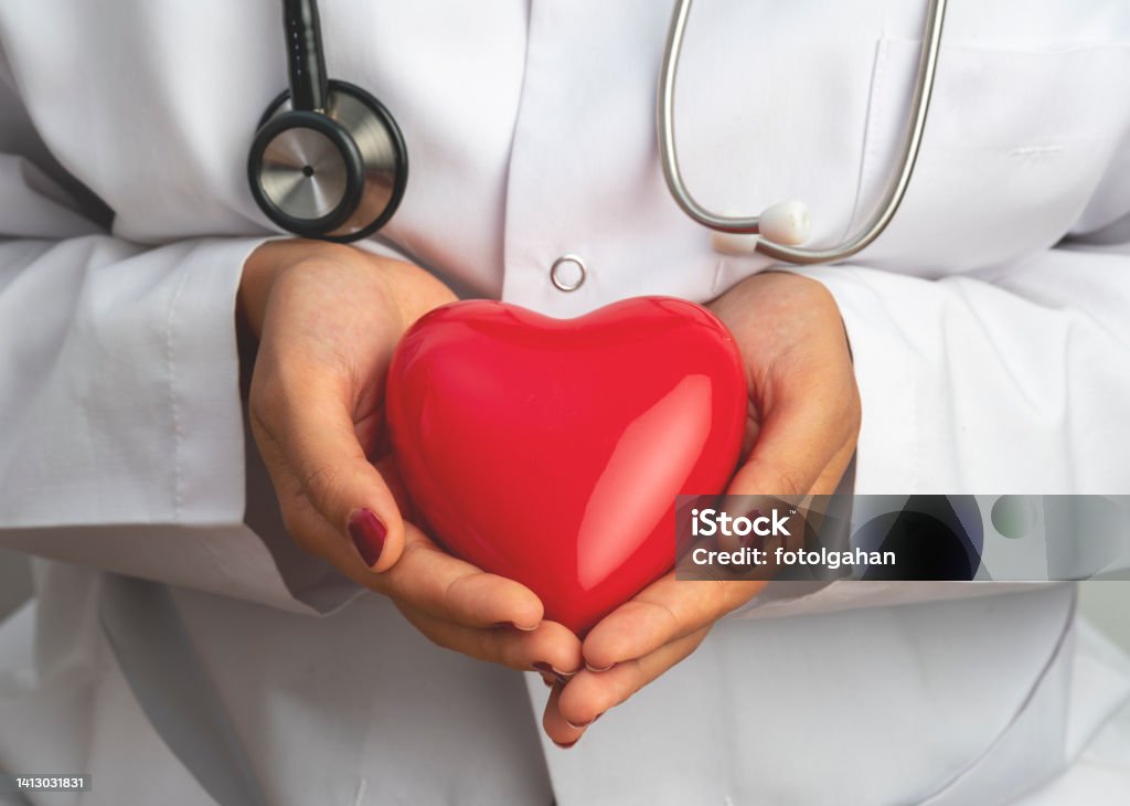 Medicine doctor holding red heart shape in hand, medical concept stock photo Heart Shape, Hand, Hospital, Human Hand Healthcare And Medicine Stock Photo