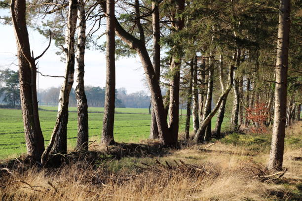 istock Hiking trail and agricultural field 1413032464