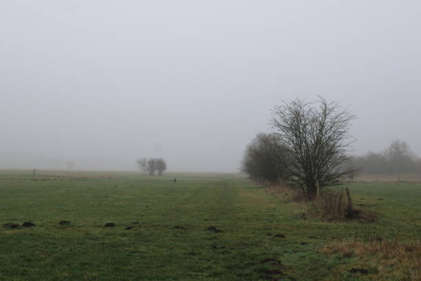 istock Foggy fields in wintertime in northern Germany 1413032526